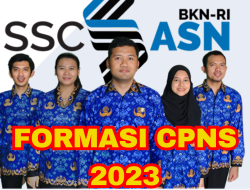 Wisudawan Baru Wajib Tahu, Cek Jumlah Formasi Lengkap CPNS 2023