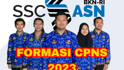 FORMASI CPNS 2023