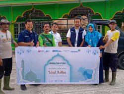 Lebaran Haji, PT. Angkasa Pura II Kurban Belasan Sapi dan Kambing