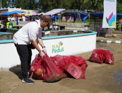Ratusan Relawan PLN Gelar Bersih Pantai, Pantai Air Manis Semakin Biru Berkilau
