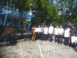 Bank Nagari Serahkan Sapi Kurban untuk PWI Sumbar