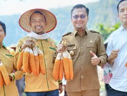 Panen Raya, Gempita Dorong Pemerintah Daerah Serius Manfaatkan Lahan Tidur