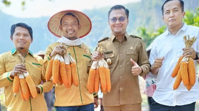 Plh Bupati Limapuluh Kota Rizki Kurniawan Nakasri, Koordinator Wilayah Gempita Sumbar Nurkhalis, Ketua Gempita Limapuluh Kota Hendra dan lainnya memperlihatkan jagung hasil panen raya. (ist)