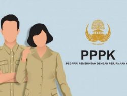 Segini Prediksi Besaran Gaji PPPK Part Time, Beda Jauh dari PNS?