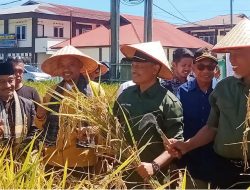 Hadiri Panen Padi di Agam, Nurkhalis Ungkap Masalah Utama Pengembangan Sektor Pertanian