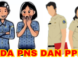 Ternyata Ini Beda PNS dan PPPK? Cek Dulu Sebelum Daftar CPNS 2023