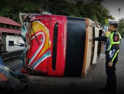 Nggak Kuat Nanjak, Bus Sipirok Nauli Rebah Kuda di Padang Panjang