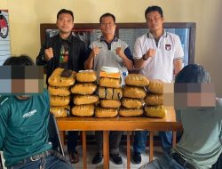 Polres Bukittinggi Sita 19 Paket Ganja, Dua Tersangka Ditahan