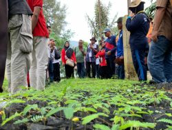 Kunjungan Peserta Penas Tani ke Semen Padang: Menyuburkan, Kaliandra Merah Bagus Dikembangkan di Tanah Marginal