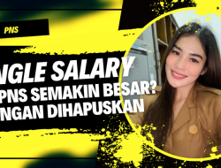 PNS Golongan IV Dihapuskan jika Single Salary Diberlakukan, Gajinya Bikin Ngiler!