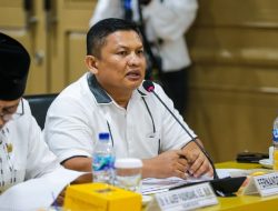 Fernando Sinaga Minta Menkominfo Baru Pastikan Percepatan Internet di Daerah 3T