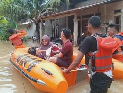 Ada 35 Titik Banjir, 11 Pohon Tumbang dan Dua Warga Padang Meninggal
