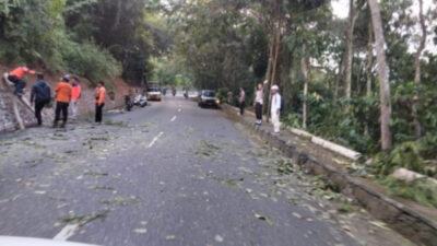 Polisi Sawahlunto Evakuasi Pohon Tumbang Menutupi Jalan