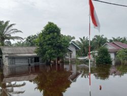 Banjir di Pesisir Selatan, Hampir 100 KK Mengungsi