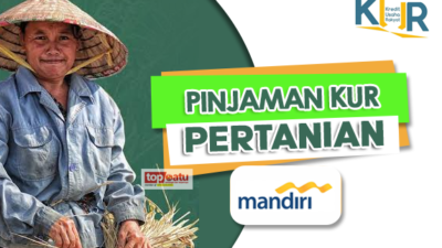 Hai Petani! Ada Pinjaman KUR Pertanian Bank Mandiri 2023, Beli Pupuk dan Bibit Tidak Lagi Sulit
