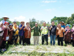 Anggota Satlantas Polres Tanah Datar Bertanam Bawang Merah di Jorong Tigo Batur Nagari Parambahan