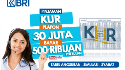 Tabel Pinjaman KUR BRI Rp30 Juta, Bayar Mulai Rp500 Ribuan per Bulan, Cek Simulasi Angsuran di Sini
