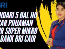 Mau Pinjaman KUR Super Mikro Diterima Bank BRI? Hindari 5 Hal Ini