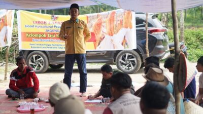 Hadiri Penanaman, Nurkhalis Beberkan Kunci Atasi Defisit Jagung di Sumbar