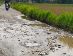 Warga Harapkan Perbaikan Jalan Bukareh-Koto Baru Baso yang Rusak Parah