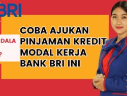Gak Harus Pinjaman KUR, Kredit Modal Kerja di Bank BRI bisa Cairkan Hingga Rp300 Juta
