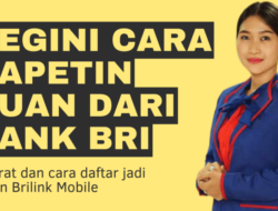 Banyak Keutungan Bergabung Jadi Agen BRI Link