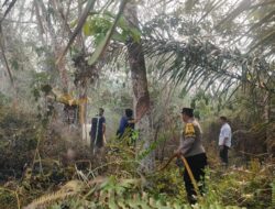 Dua Titik Api di Dharmasraya Berhasil Dipadamkan