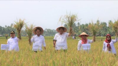 Dirjen Tanaman Pangan Panen Raya di Desa Palak Aneh