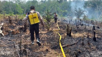 Kebun Sawit di Dharmasraya Terbakar Diduga Akibat Puntung Rokok