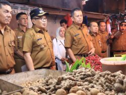 Pengendalian Inflasi Daerah, Pj. Walikota Payakumbuh Jasman Tinjau Harga Kebutuhan Pokok di Pasar Tradisional Ibuh