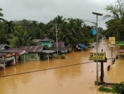 Banjir dan Tanah Longsor di Lima Puluh Kota, Sumatera Barat, Renggut Satu Nyawa