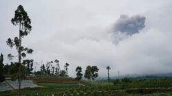 Tim BPBD Tanah Datar dan Satgas PB Nagari Diterjunkan Bantu Evakuasi Pendaki di Gunung Marapi