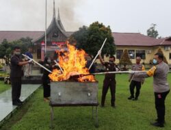 Polres Pasaman Barat Musnahkan 11 Kg Ganja