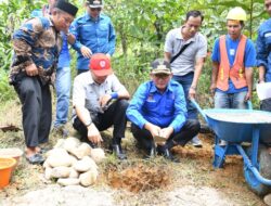 Semen Padang Dukung Pengembangan Gua Kelelawar Padayo jadi Objek Wisata Geopark di Kota Padang