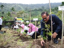 Didukung Semen Padang, Budidaya Kopi Robusta Bantjah Dimulai Sejak 2020