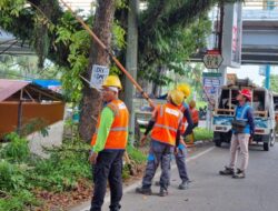 Siapkan Jaringan Andal Jelang Nataru, PLN Gelar Rampal Pohon Massal