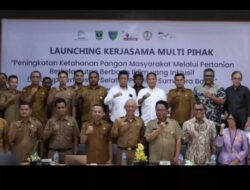 Surplus, Produksi Gabah di Pessel 197.166 Ton