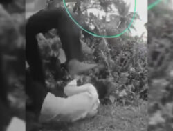 Polisi Segera Panggil Pelaku Perundungan Pelajar di Agam