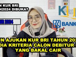 Ingin Ajukan KUR BRI 2024? Berikut Kriteria Calon Debitur yang Bakal Cair