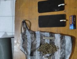Satuan Narkoba Polresta Bukittinggi Amankan Tiga Pengedar Ganja