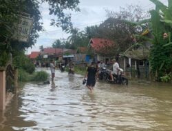 Dharmasraya Dilanda Banjir, Sutan Riska Pastikan Kebutuhan Warga Terdampak Terpenuhi