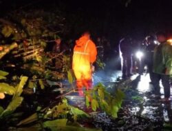 Longsor di Bukik Apik Matur, Akses Jalan Sempat Terputus