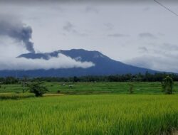 Naik Level Siaga, Warga Sekitar Gunung Marapi Diimbau Waspada