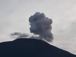 80 Ha Lahan Gagal Panen Terdampak Erupsi Marapi