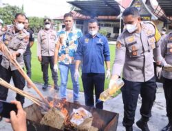 Polres 50 Kota Musnahkan 10 Kg Ganja