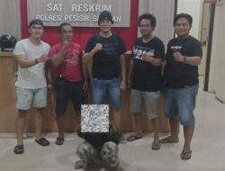 Buruh Diduga Cabuli Anak 4 Tahun di Pesisir Selatan