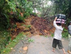 Jalan Padang – Sungai Penuh Sudah Bisa Dilalui