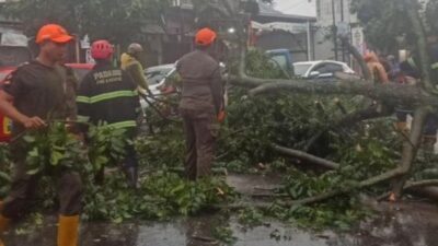Padang Dilanda Badai, Tujuh Pohon Tumbang