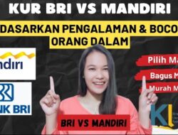 Perbandingan KUR BRI dan Bank Mandiri, Ini Pengalaman Nasabah saat Meminjam Uang
