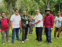 Dibantu Bibit Semen Padang, Kelompok Tani Tanjuang Gadang Tanam 10.000 Kaliandra merah